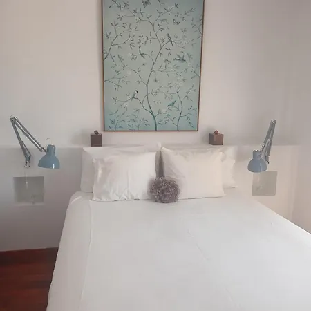 Con Vistas Homestay
